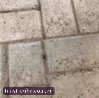 陈逸